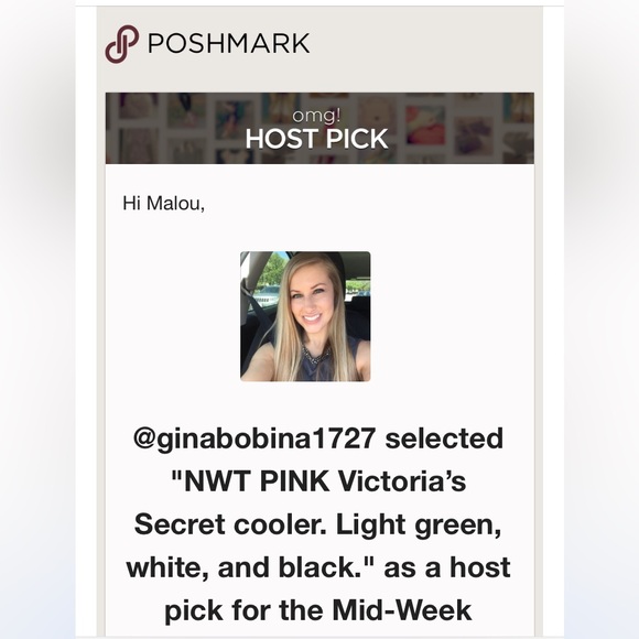 *HP!* NWT PINK Victoria’s Secret cooler. Light green, white, and black. - Picture 5 of 5